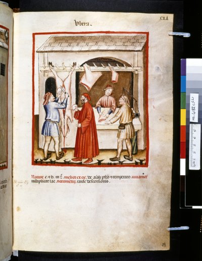Theatrum sanitatis af Ububchasym de Baldach: 