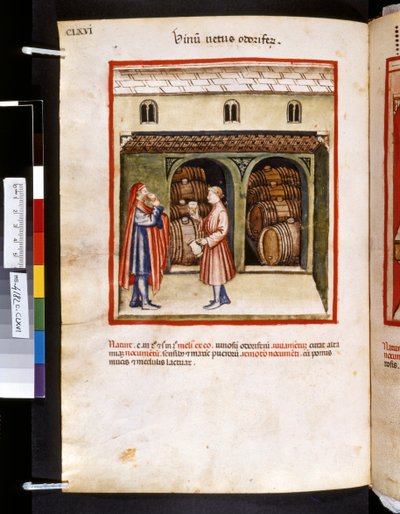 Theatrum sanitatis af Ububchasym de Baldach: 