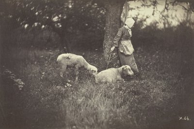 Hyrdinde, der læner sig op ad et træ, med to får, 1870. af Giraudon