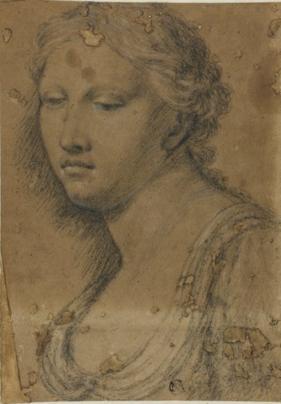 Buste af kvinde af Girolamo da Carpi