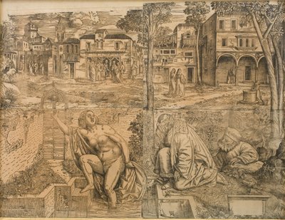 Susanne på badeværelset af Girolamo da Treviso d.Y.