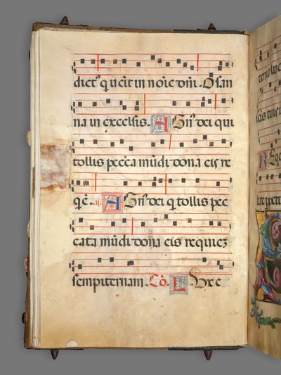 Gradvis af Girolamo dai Libri