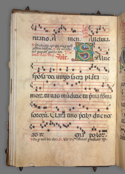 Gradvis, ca. 1520. af Girolamo dai Libri