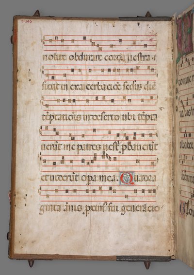 Gradvis, ca. 1520. af Girolamo dai Libri