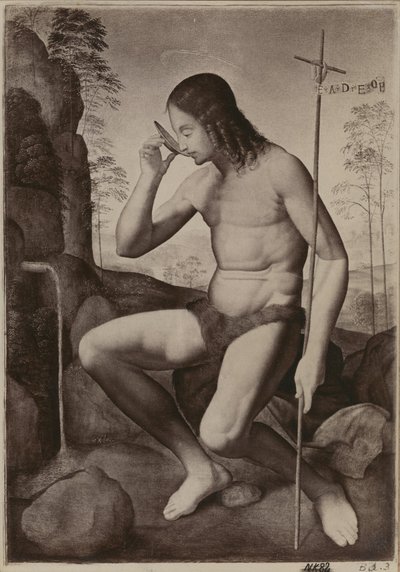 Johannes Døberen i ørkenen af Giuliano Bugiardini