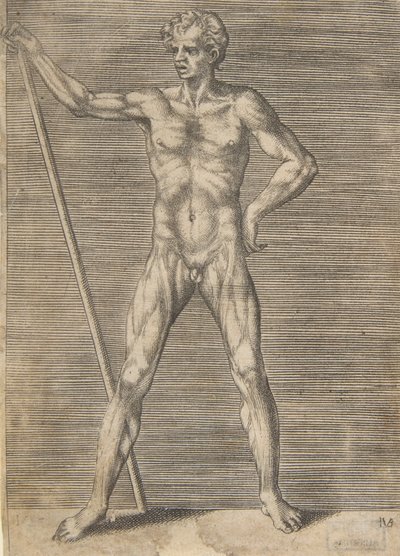 Flænset mand set forfra, med en pind, ca. 1531-76. af Giulio Bonasone