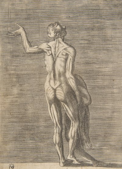 Flænset mand med venstre hånd på hoften, holder huden i højre hånd, ca. 1531-76. af Giulio Bonasone