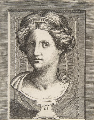 Skulpteret hoved af Juno, ca 1531-76. af Giulio Bonasone