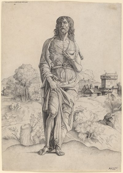 Sankt Johannes Døberen af Giulio Campagnola