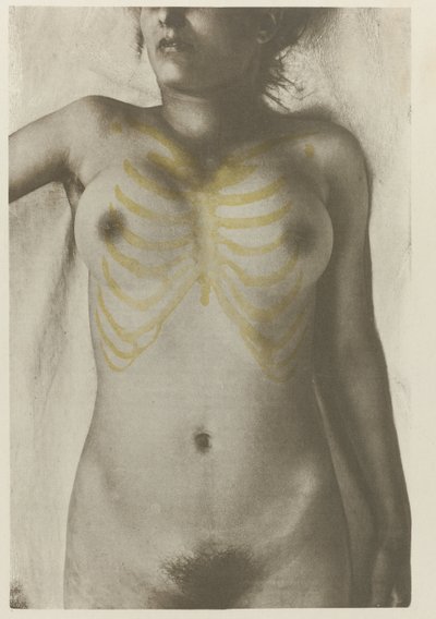 Anatomisk foto af een vrouwelijk lijk: 