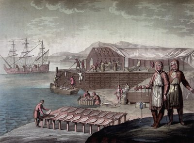 Torskefiskeri lavet af indbyggerne i Newfoundland - i "" Le costume ancien et moderne"" af Ferrario, red. Milano af Giulio Ferrario