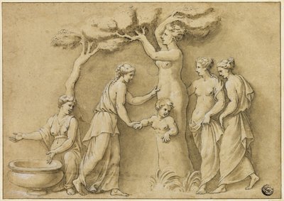 Adonis fødsel af Giulio Romano