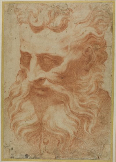 Adonis