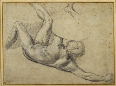 Studie for kriger faldet i 
