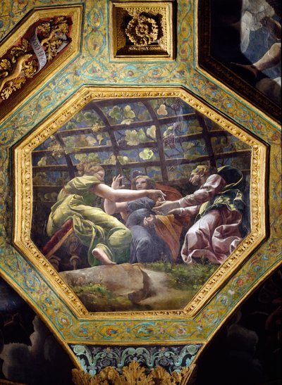 Kvinder, der plukker druer, loftscaisson fra Sala di Amore e Psiche, 1528 (olie på stuk) af Giulio Romano