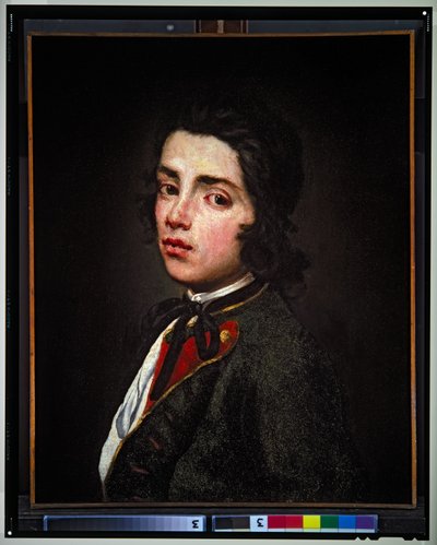 Portræt af en ung dreng, udateret (lærred) af Giuseppe (1655-1743) Ghislandi