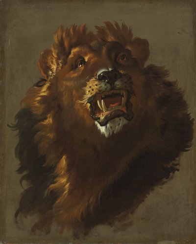 Løve af Giuseppe Baldrighi
