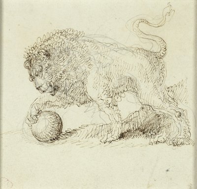 Løve med bold af Giuseppe Bernardino Bison