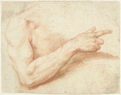 Studie af en arm af Giuseppe Cesari