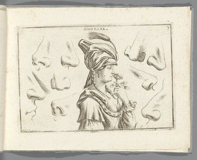 Lugt Odorare (titel på objekt) af Giuseppe Maria Mitelli