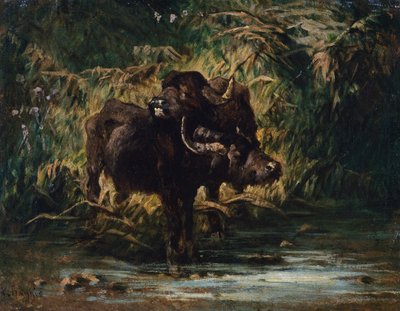 Nuoret puhvelit af Giuseppe Raggio