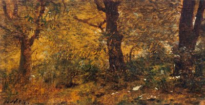 Undersøgelse af træ af Giuseppe or Joseph de Nittis