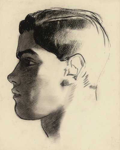 Hovedet af en ung mand i profil (kul) af Glyn Warren Philpot