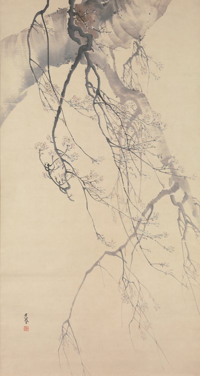Kirsebærblomster, 1700-tallet. af Go Shun