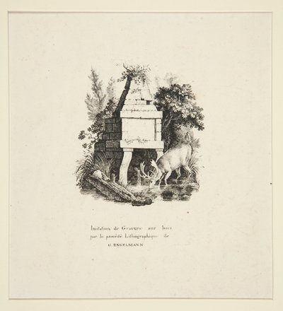 Hjorte drikker af Godefroy Engelmann