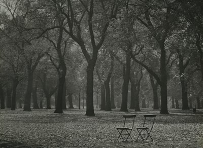 Efterårstræer i Hyde Park, London af Godfrey Macdominic