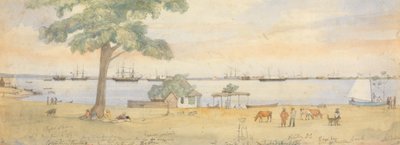 Greytown af Godfrey Thomas Vigne