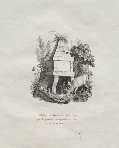 Samling af litografiske essays: A Fountain Imitating Woodcut, ca. 1816. af Gottfried or Godefroy Engelmann
