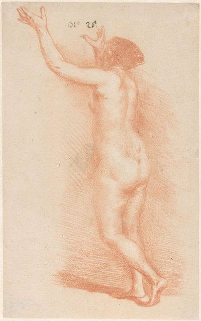 Stående kvinde med løftede arme af Govert Flinck (attributed to)