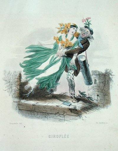 Urtelæge, der stjæler vægblomsten, fra 