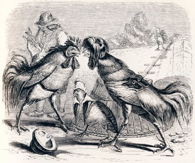 Agerhønen og de to stegere - Fabler af La Fontaine af Grandville