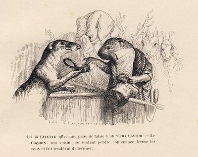 En civet tilbyder en fangst tobak til en gammel bæver, grisen bag ham forsøger at holde sig. Vignetter illustreret af JJ Granville. Gravering signeret Andrew Best og Leloir i prologen med titlen "Parlamentary summary" skrevet af PJ Stahl i "Scener" af Grandville