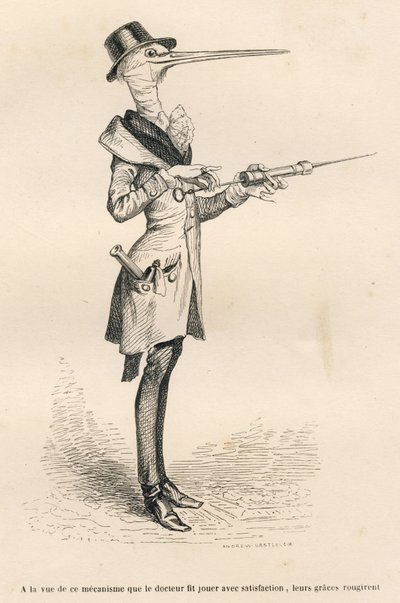 Stork som læge, der håndterer et lavement. Miniaturer illustreret af JJ Granville. Gravering signeret Andrew, Best og Leloir i delen med titlen "Court pains of an English cat" skrevet af Honore de Balzac i "Scener fra det private og offentlige liv i af Grandville