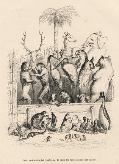 Samtale mellem dyr. Miniaturer illustreret af JJ Granville. Indgravering signeret Breviere i prologen med titlen "Parlamentary Summary" skrevet af PJ Stahl i "Scener fra dyrenes private og offentlige liv". Paris, J. Hetzel og Paulin af Grandville