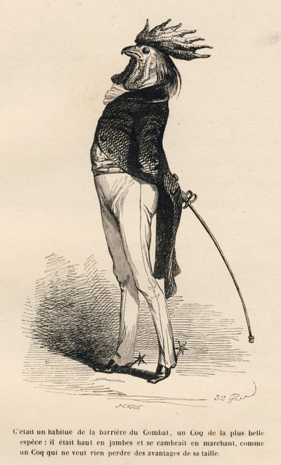 Hane vant til den stolte købmandskampbarriere. Miniaturer illustreret af JJ Granville. Gravering signeret Caque i delen "Historien om en hare" skrevet af PJ Stahl i "Scener fra dyrenes private og offentlige liv". Paris, J. Hetzel og Paulin af Grandville
