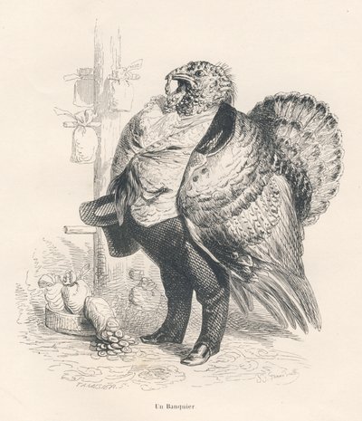 Tyrkiet som bankmand. Vignetter illustreret af JJ Granville. Indgravering signeret Tamisier i afsnittet med titlen "Erindringer om en gammel krage" skrevet af PJ Stahl i "Scener fra dyrenes private og offentlige liv". Paris, J. Hetzel og Paulin af Grandville