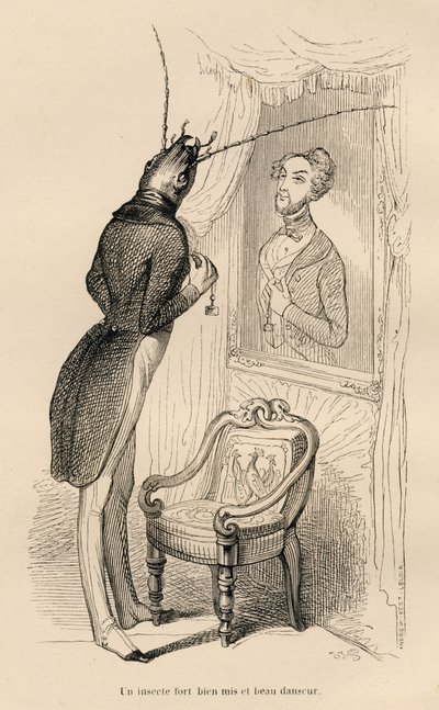 Insekt ser på sit menneskelige spejlbillede i spejlet). Vignetter illustreret af JJ Granville. Gravering signeret Andrew, Best og Leloir i delen med titlen "The Adventures of a Butterfly" skrevet af PJ Stahl i "Scener fra dyrenes private og offentlige liv" af Grandville