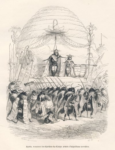 Bidronningen og hendes hær. Miniaturer illustreret af JJ Granville. Gravering signeret Andrew, Best og Leloir i delen med titlen "En spurvs rejse fra Paris" skrevet af George Sand i "Scener fra dyrenes private og offentlige liv". Paris, J. af Grandville