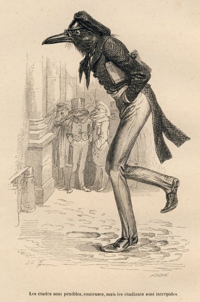 Studierne er svære, dyre, men de studerende er uforfærdede. Miniaturer illustreret af JJ Granville. Gravering signeret Caque i delen med titlen "Dyrelægerne" skrevet af Pierre Bernard i "Scener fra dyrenes private og offentlige liv af Grandville
