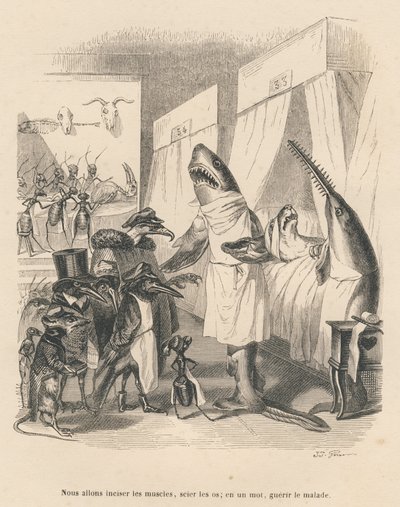 Doktorhajer forklarer deres operation. Miniaturer illustreret af JJ Granville. Indgravering signeret Godard i delen med titlen "Dyrelægerne" skrevet af Pierre Bernard i "Scener fra dyrenes private og offentlige liv". Ved af Grandville