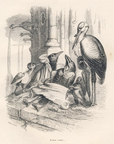 En kragedød sammen med sin familie og en stork. Miniaturer illustreret af JJ Granville. Gravering signeret Breviere i delen med titlen "Erindringer om en gammel krage" skrevet af PJ Stahl i "Scener fra dyrenes private og offentlige liv". P af Grandville