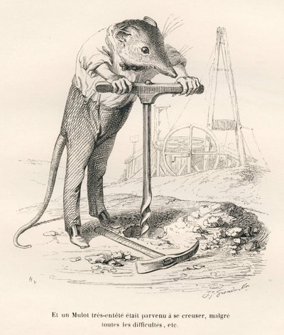 Markmus gennemborer jorden. Vignetter illustreret af JJ Granville. Gravering signeret Breviere i delen med titlen "Erindringer om en gammel krage" skrevet af PJ Stahl i "Scener fra dyrenes private og offentlige liv". Paris, J. Hetzel og Paulin af Grandville