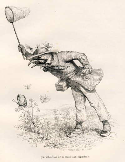 Fugle jagter sommerfugle. Vignetter illustreret af JJ Granville. Gravering signeret Andrew, Best og Leloir i delen med titlen "En ræv fanget i fælden" skrevet af Charles Nodier i "Scener af dyrenes private og offentlige liv". Paris, J. Hetzel af Grandville