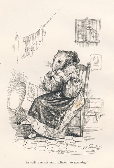 Mus reparerer en sok. Miniaturer illustreret af JJ Granville. Gravering signeret Andrew, Best og Leloir i delen med titlen "The philosopher rat" skrevet af Edouard Lemoine i "Scener fra dyrenes private og offentlige liv". Paris, J. Hetzel og af Grandville