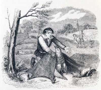 Fuglefangeren, gåhøgen og lærken - fabler af La Fontaine af Grandville