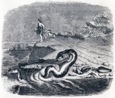 Slangens forkant og hale (La tete et la queue du serpent) - Fabler af La Fontaine af Grandville